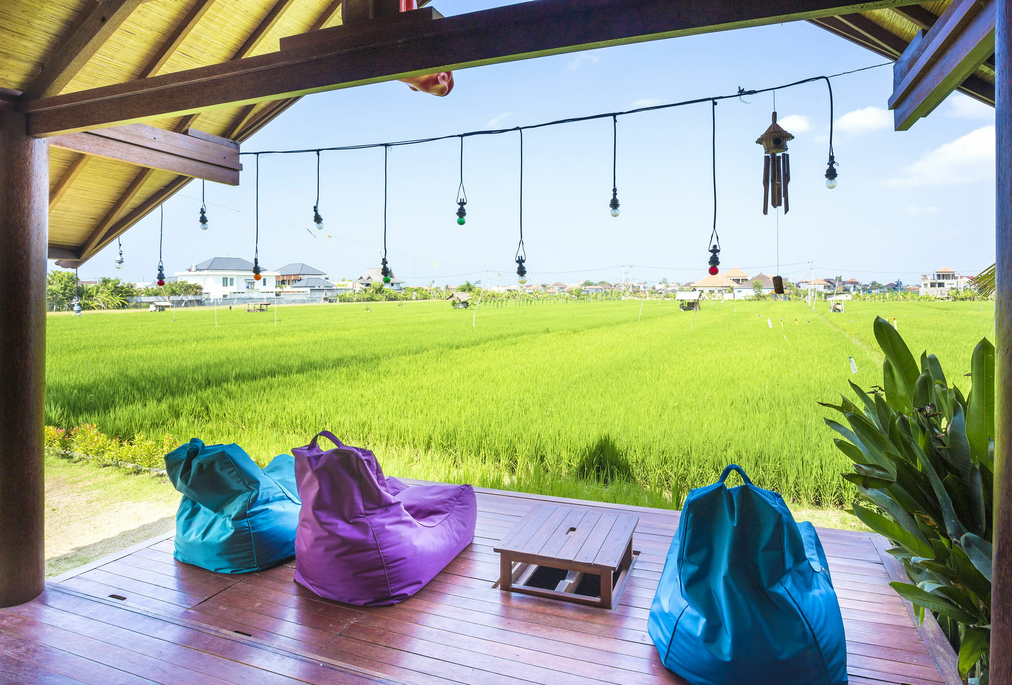 Big Brother Surf Inn 캉구 외부 사진