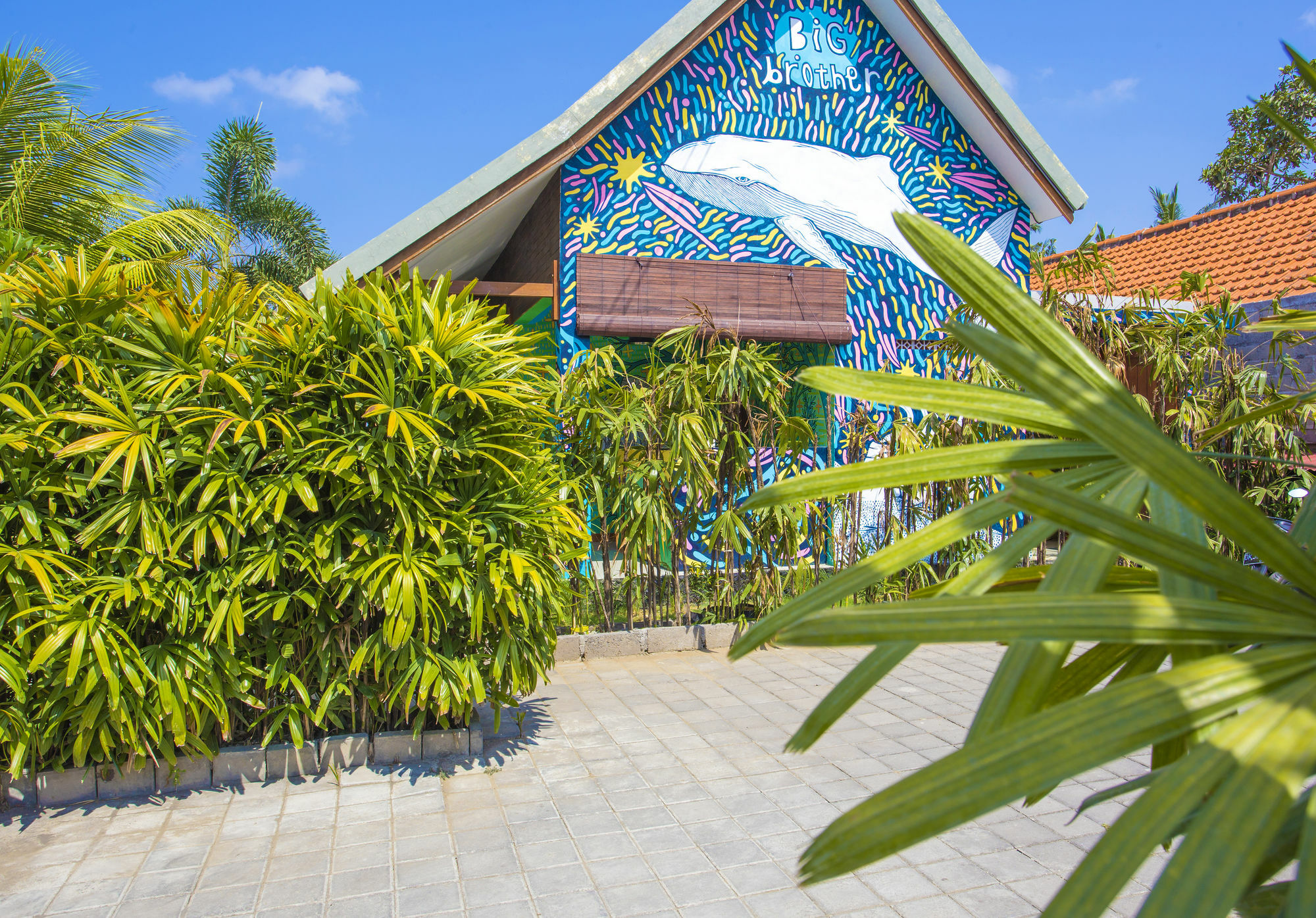 Big Brother Surf Inn 캉구 외부 사진
